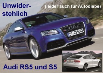 audi_s5_und_rs5